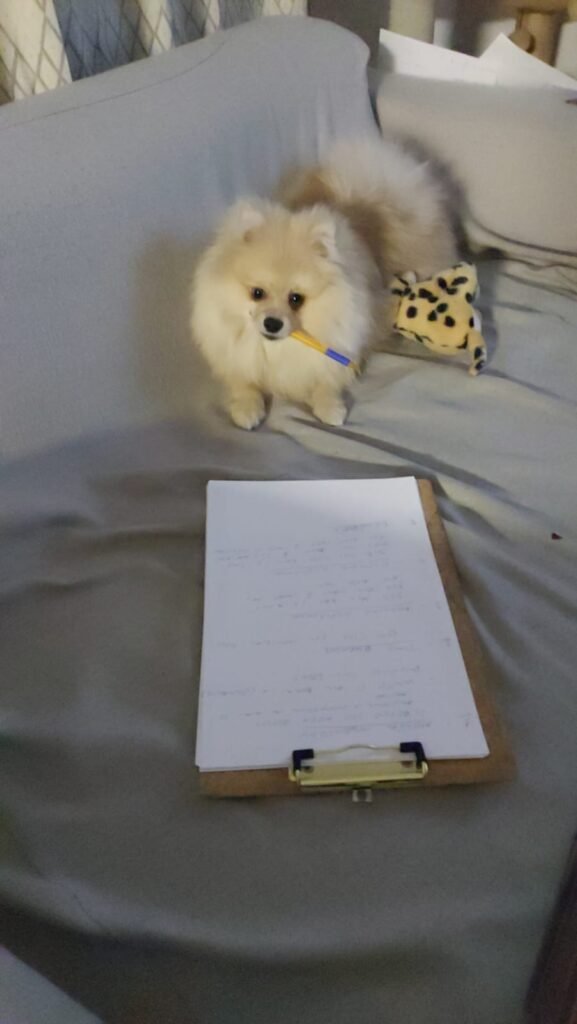 Pomeranian holding a pen next to a clipboard