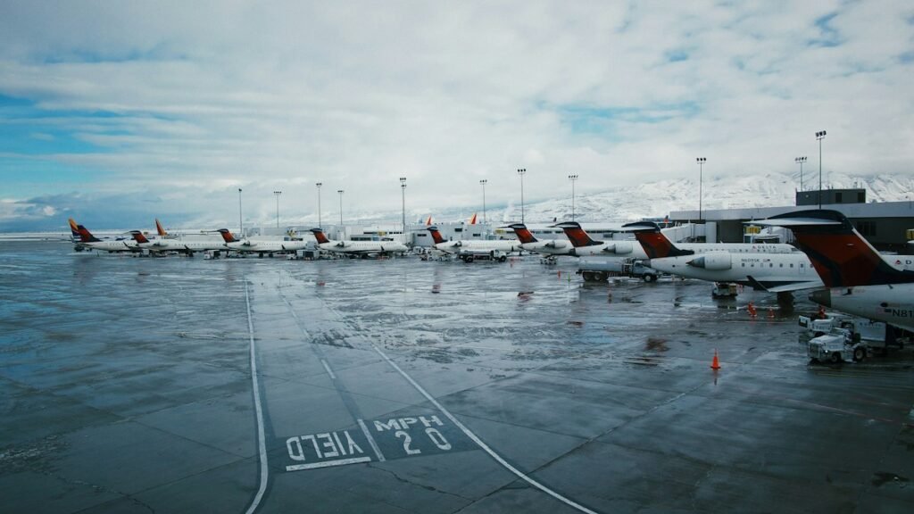 Planes from different airlines at an airport: compare airline pet policies