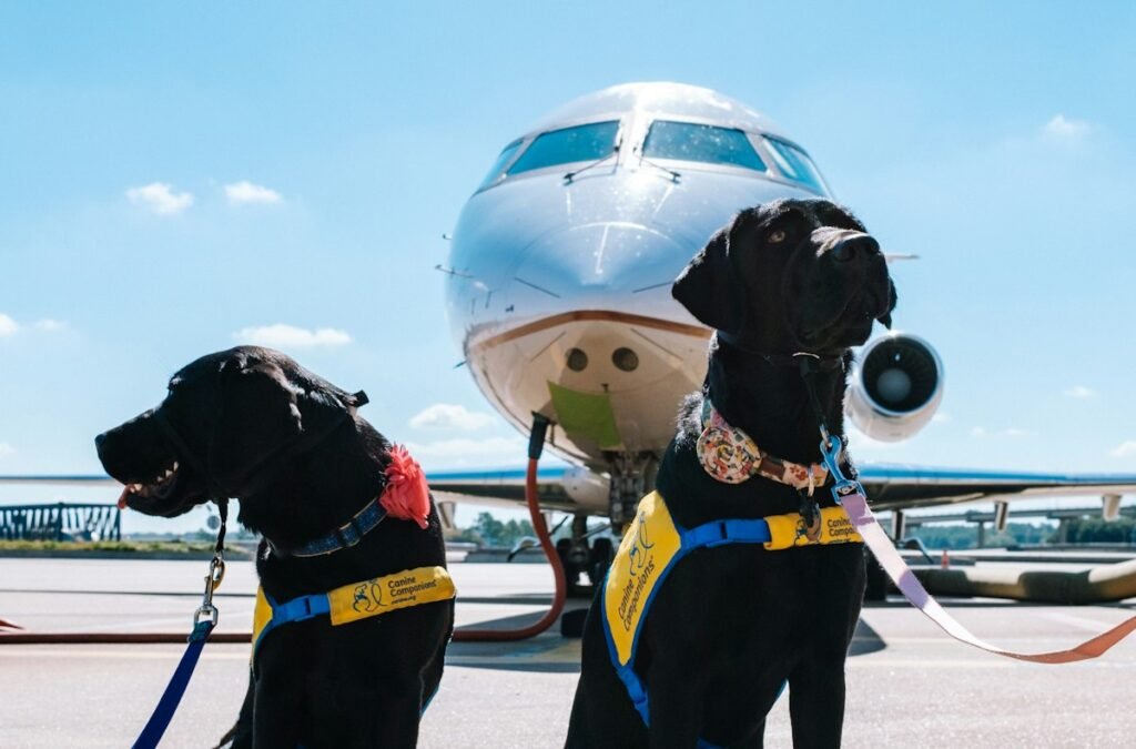 Emirates pet policy: large dogs in front of an airplane