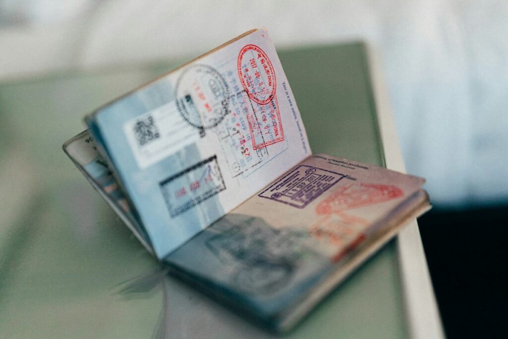 Open passport with stamps: pet travel requirements by country